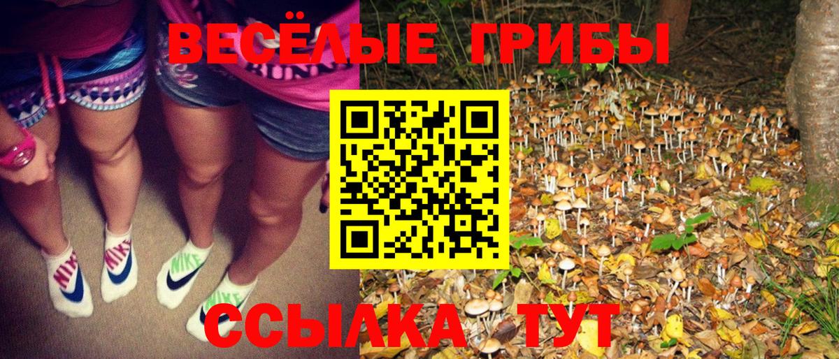Псилоцибиновые грибы мухоморы Избербаш